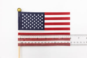 American Flag (small).